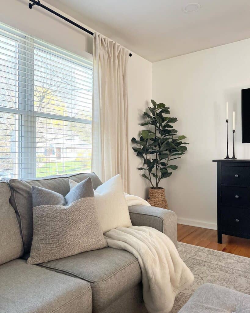 Window with Beige Curtain and Black Rod