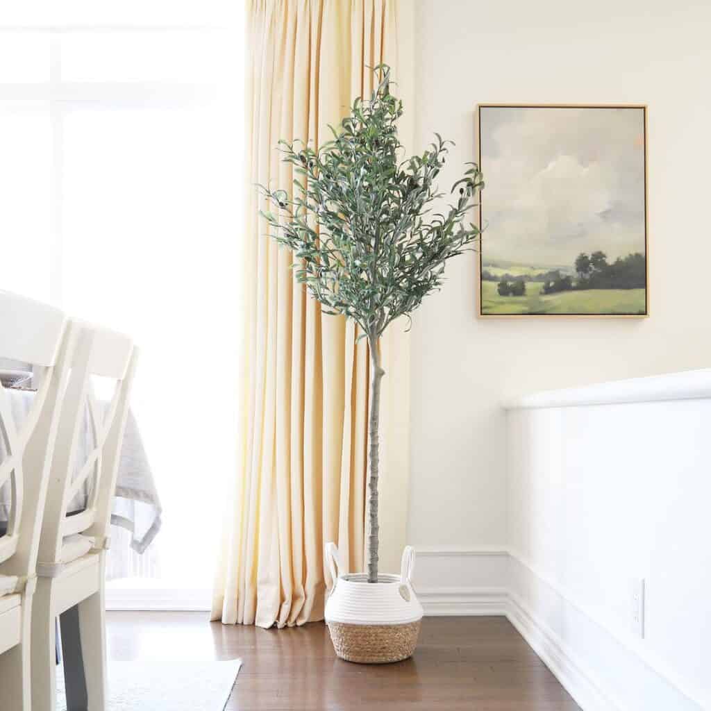 Yellow Drapes and Faux Olive Tree