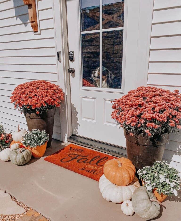 Autumn Decorated Front Door
