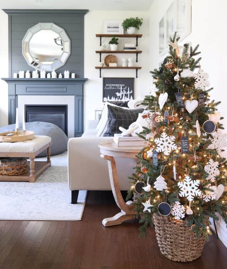 Black and White Living Room with Small Matching Tree