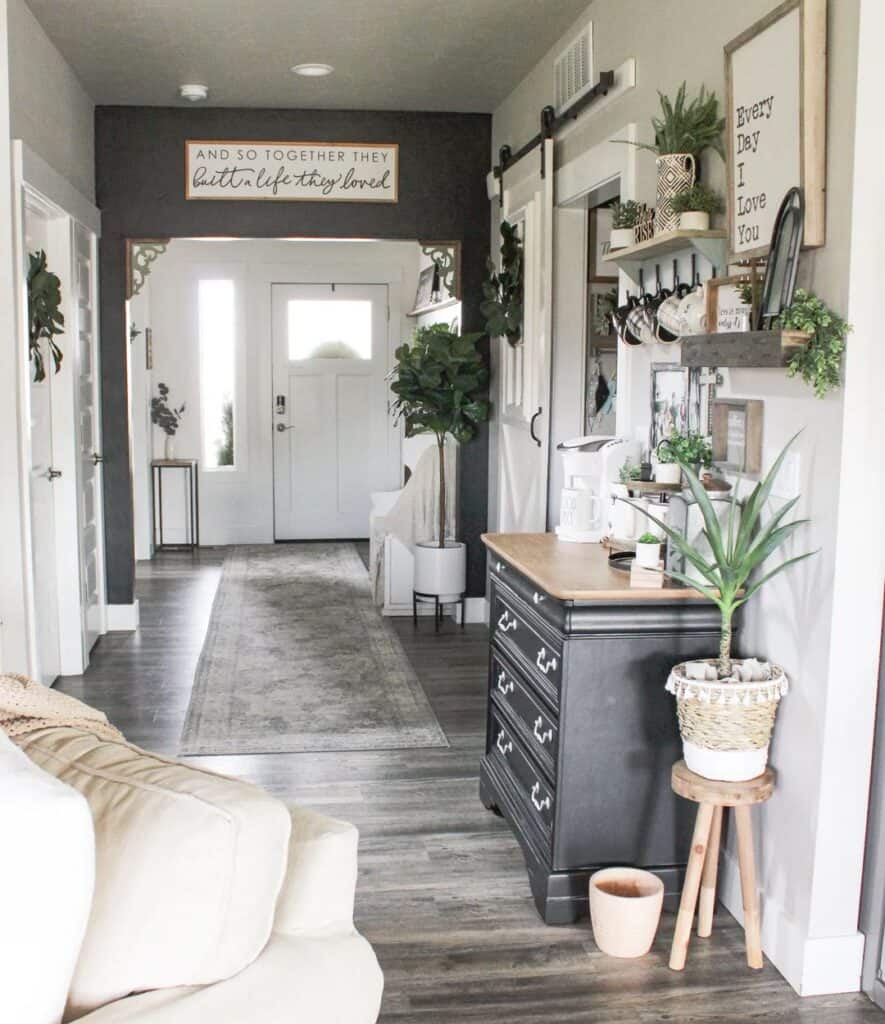 Charcoal Gray and White Entryway