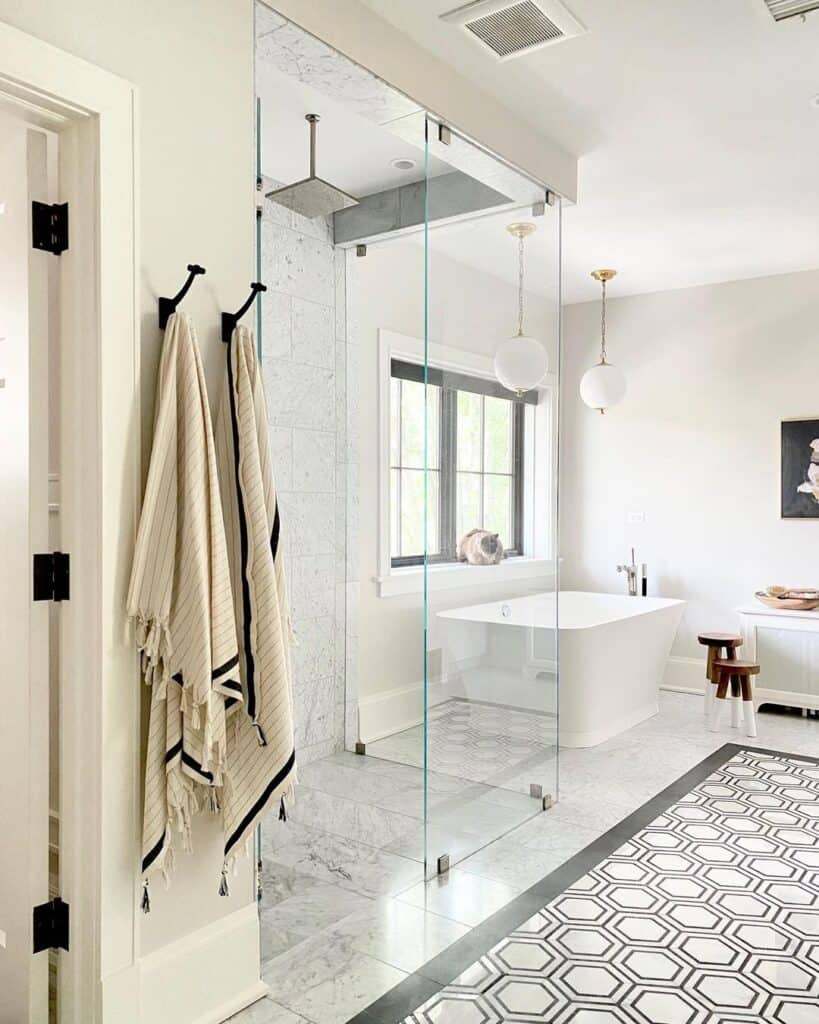 Glass Shower Enclosure and Freestanding Bathtub