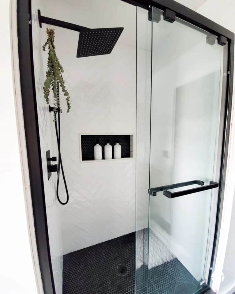 Green Branches Hanging From a Black Shower Head