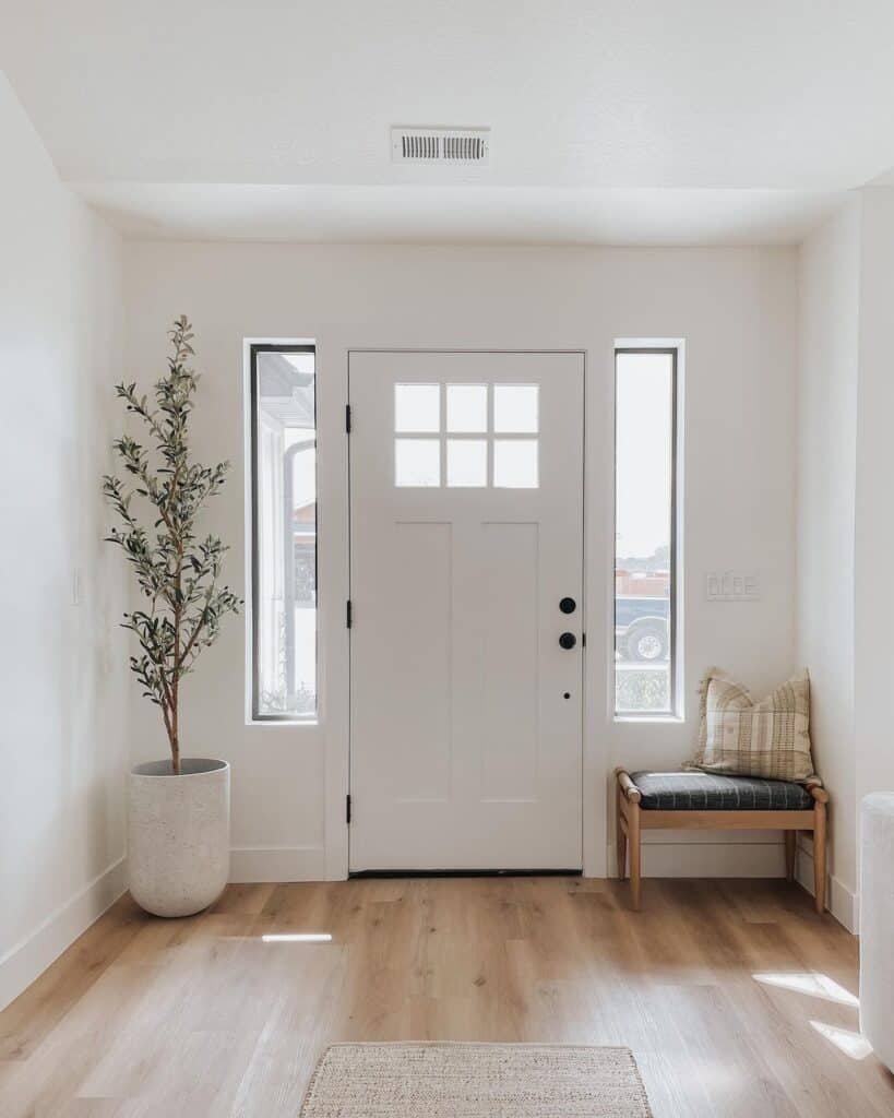 Minimalist White Front Door Entryway