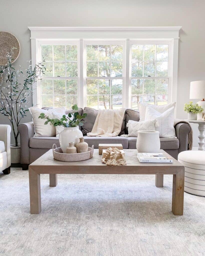 Neutral Living Room with White Window Trim