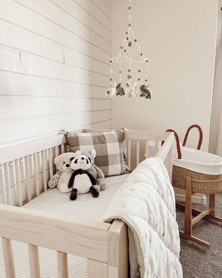 Quiet Neutral Colored Baby’s Room