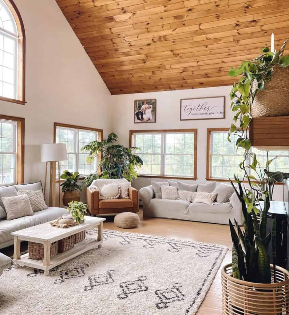 Stained Wooden and White Window Trims