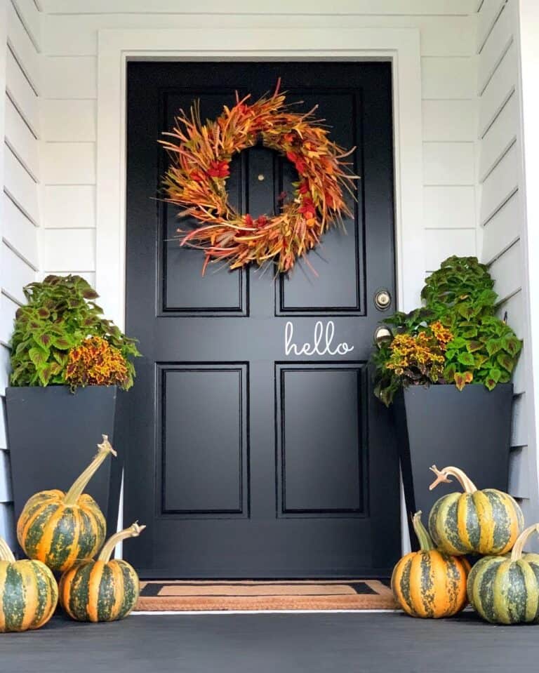 Black Front Door with Striped Pumpkins