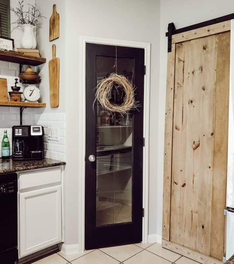 Black Pantry Door with Glass