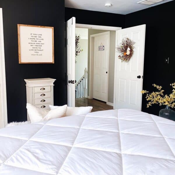 35 Ways White Interior Doors Can Have the Biggest Impact