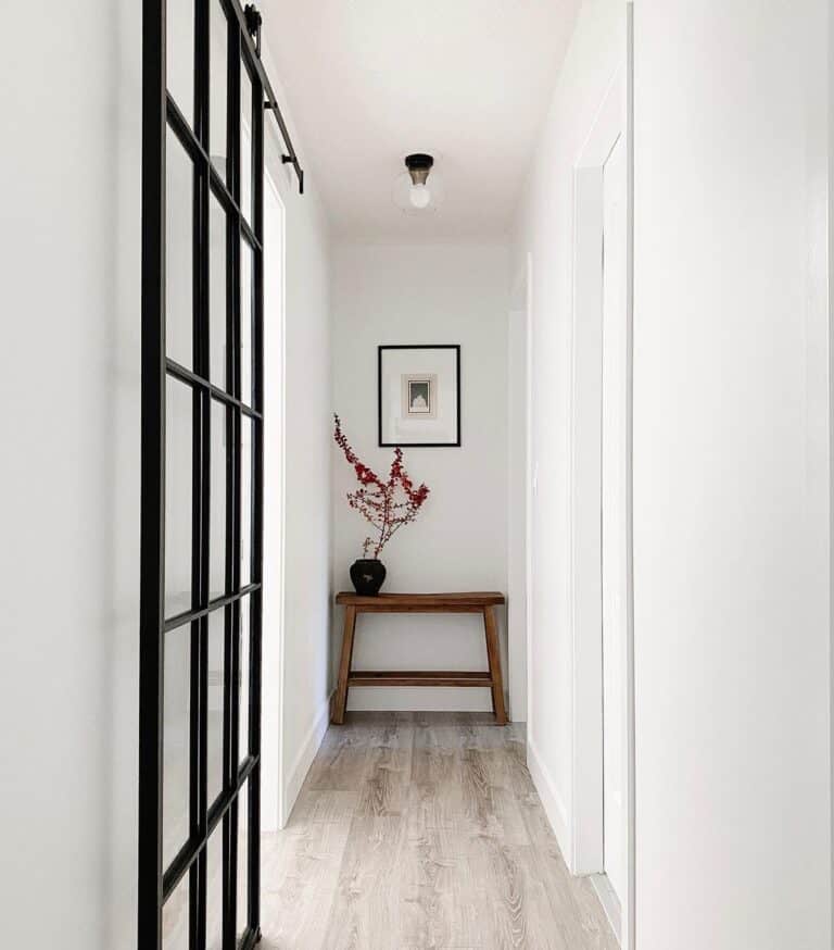 Clear Glass Ceiling Light Fixture