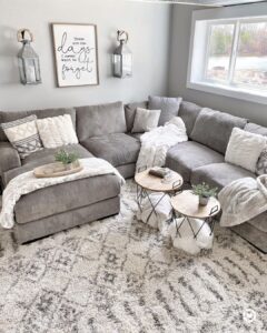 Grey Couch Living Room Ideas with Rug