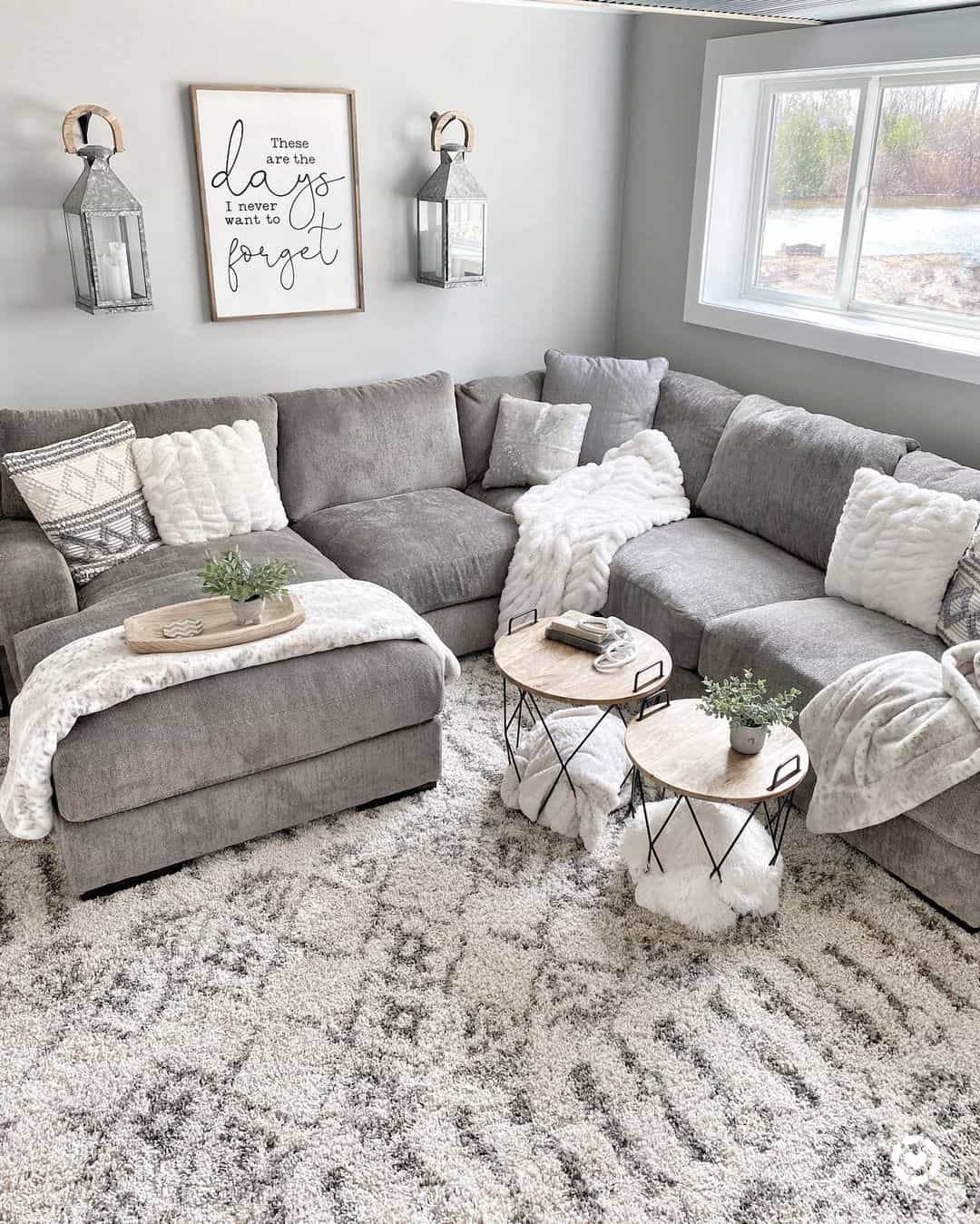 Grey Couch Living Room Ideas With Rug 