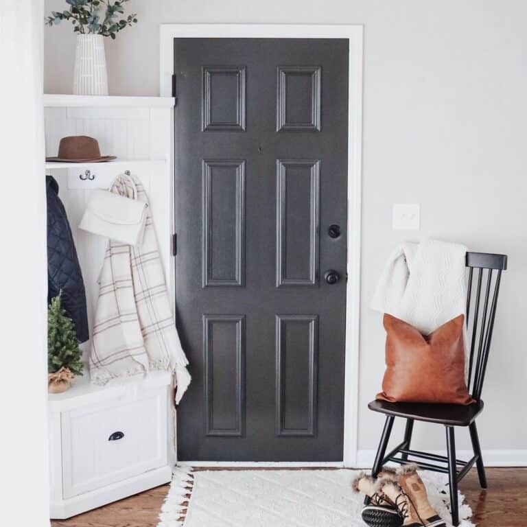 Iron Ore Paint in a Light Grey Entryway