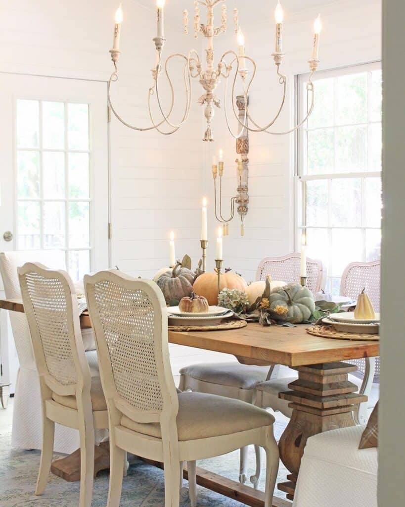 Natural Pumpkin Centerpieces in Well Lit Dining Room