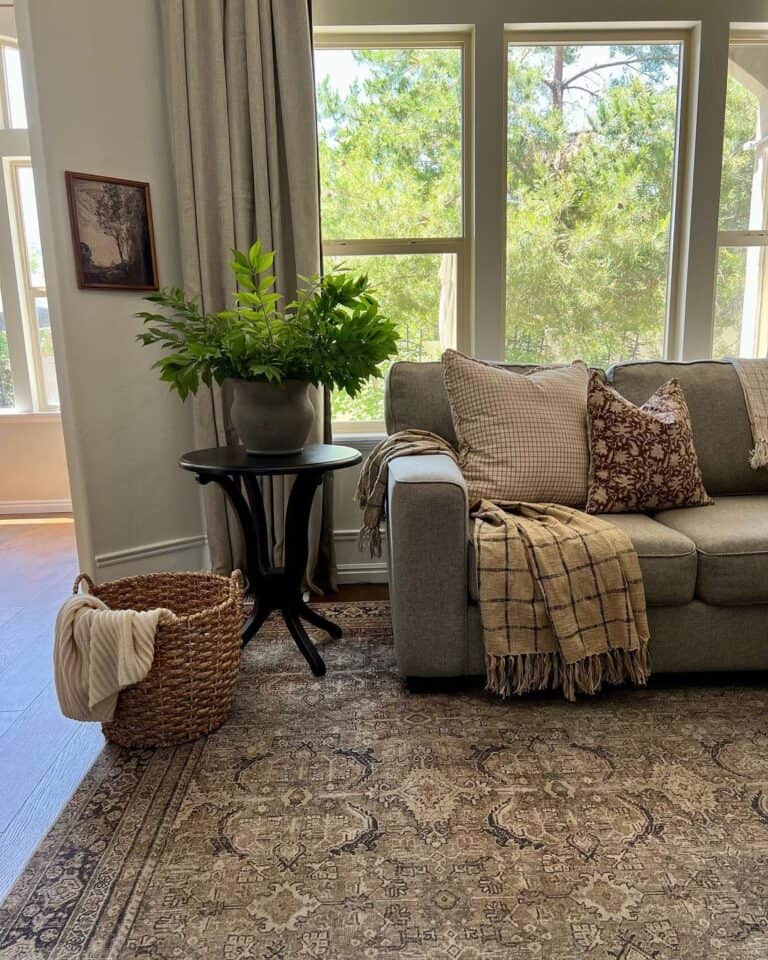 Patterned Throw Pillows in Cozy Living Room