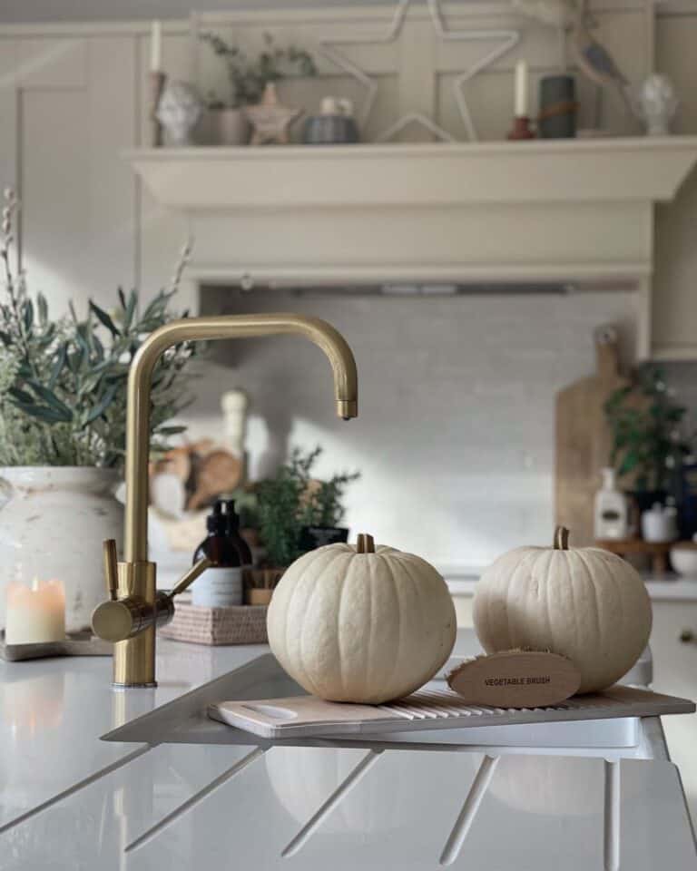Perfectly Spherical Pumpkins on Draining Board