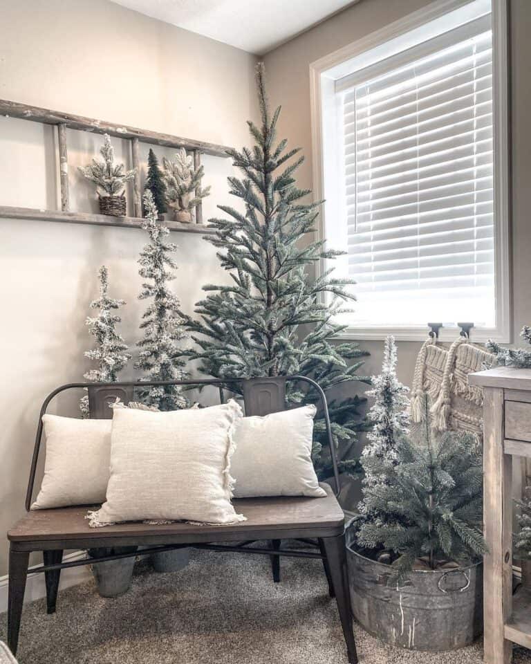 Pine Trees Surround Living Room Bench