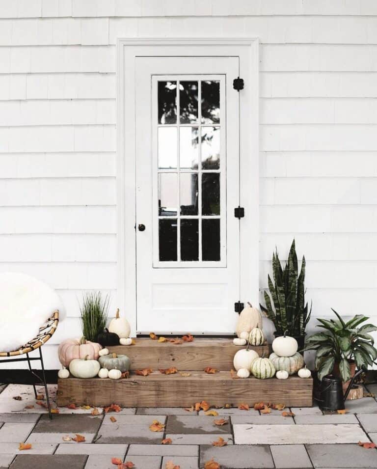 Pumpkins Displayed Outside Back Door
