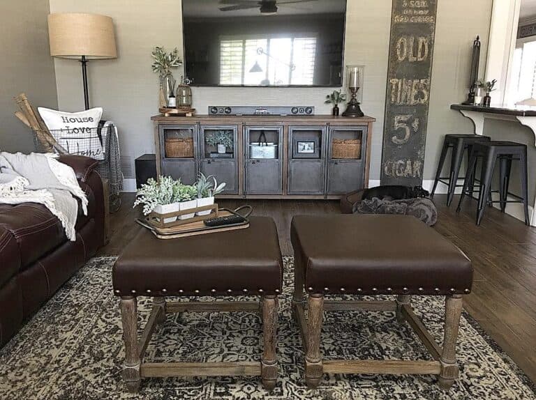 Succulents in a Tray on Leather Ottomans