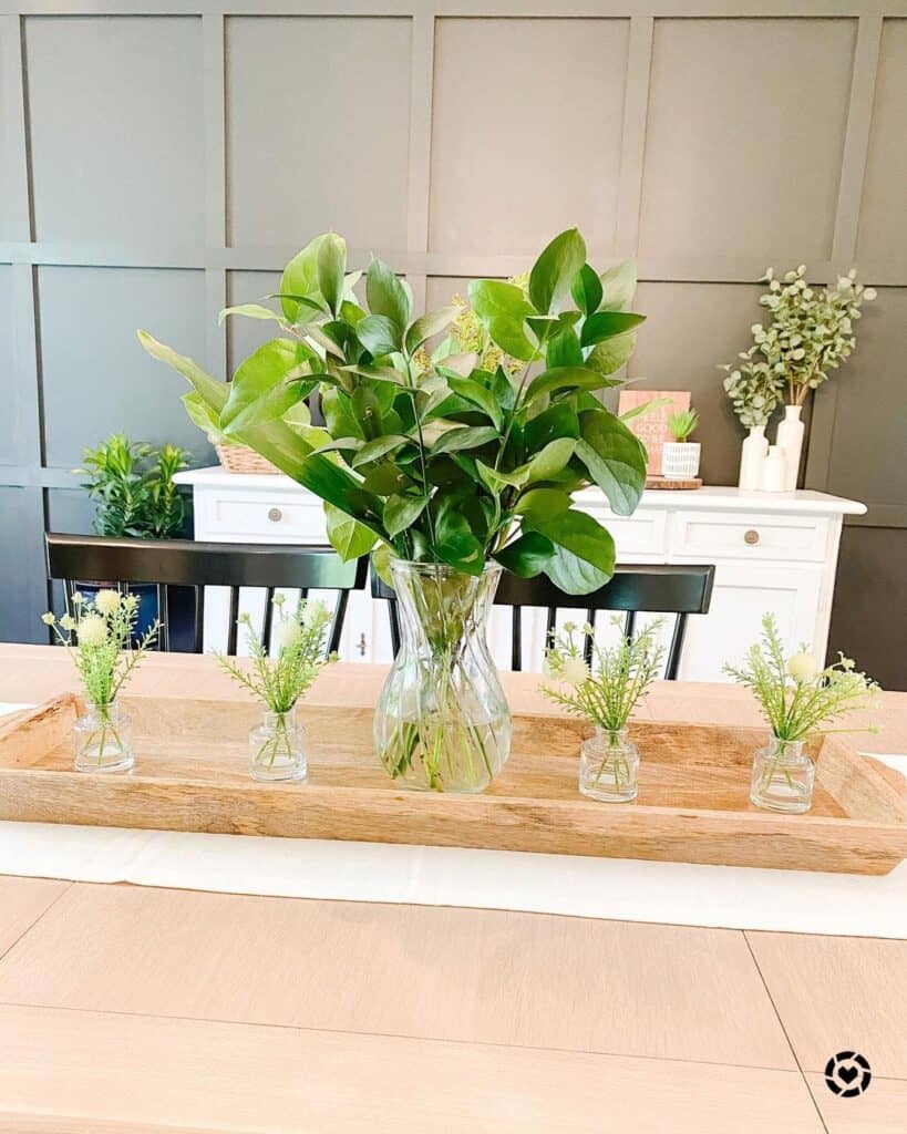 Tray of Small Plant Centerpieces in Glass Vases