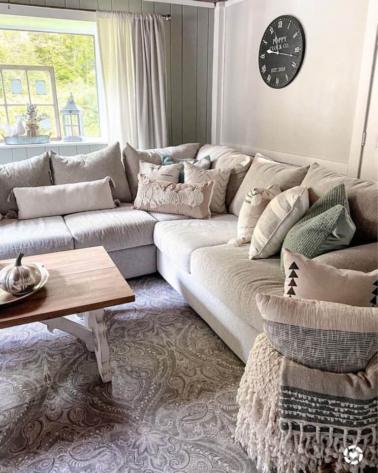 Variety of Throw Pillows in Grey Living Room