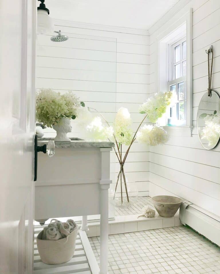 White Shiplap Bathroom Shower with Window