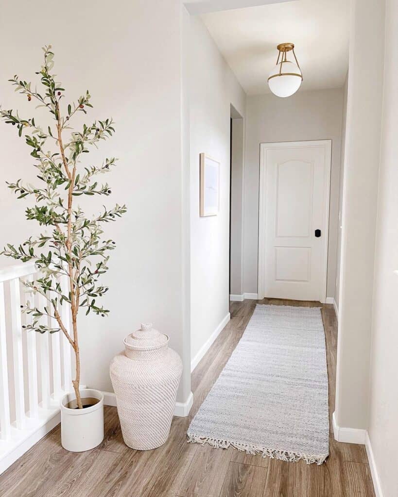 Vault Light | Affordable Luxury \u0026 Modern Light Fixtures, image size:819x1024