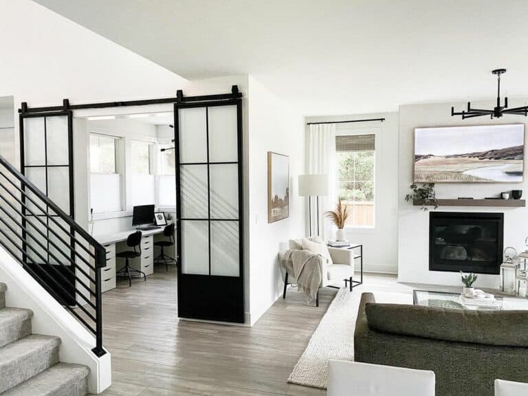 Black Barn Door with Frosted Glass