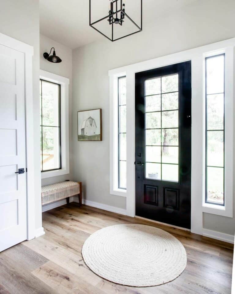 Black Front Door with White Trim for Sidelights