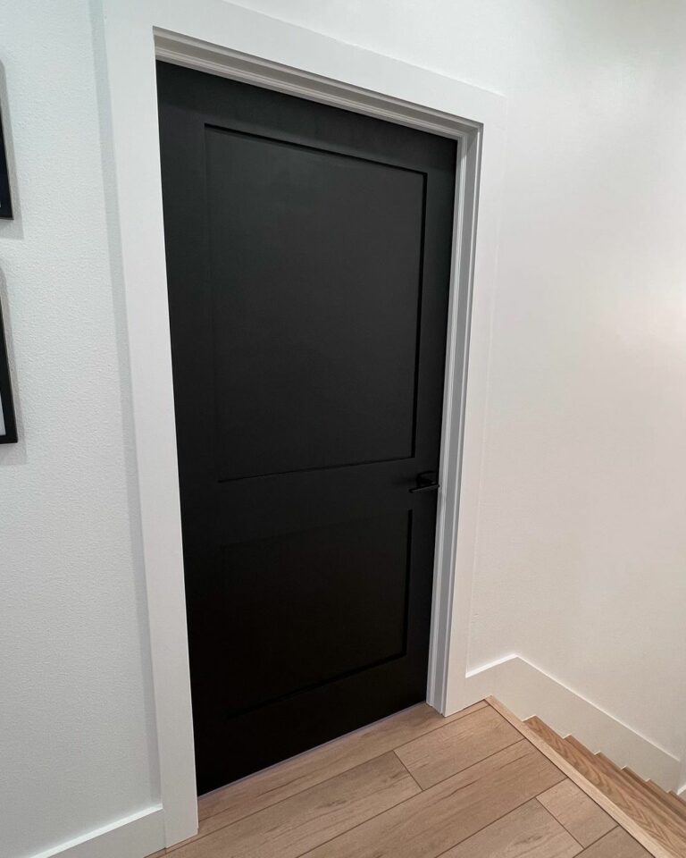 Black Interior Door with White Trim