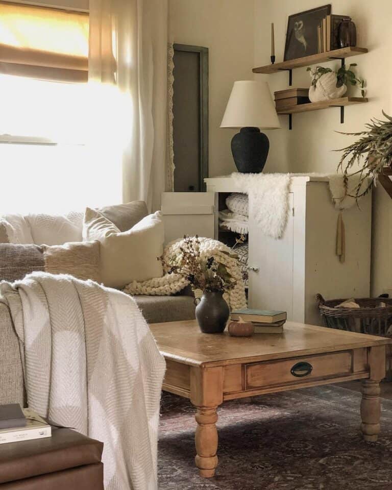 Cozy Accessories in Vintage Living Room