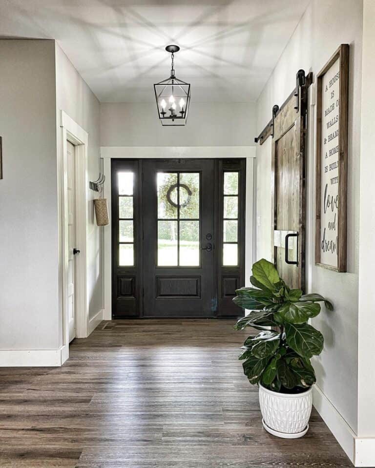 Dark Wood Entryway with Potted Plant