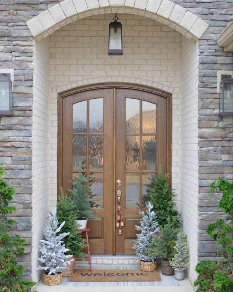 Front Door with Plants in Arched Doorway