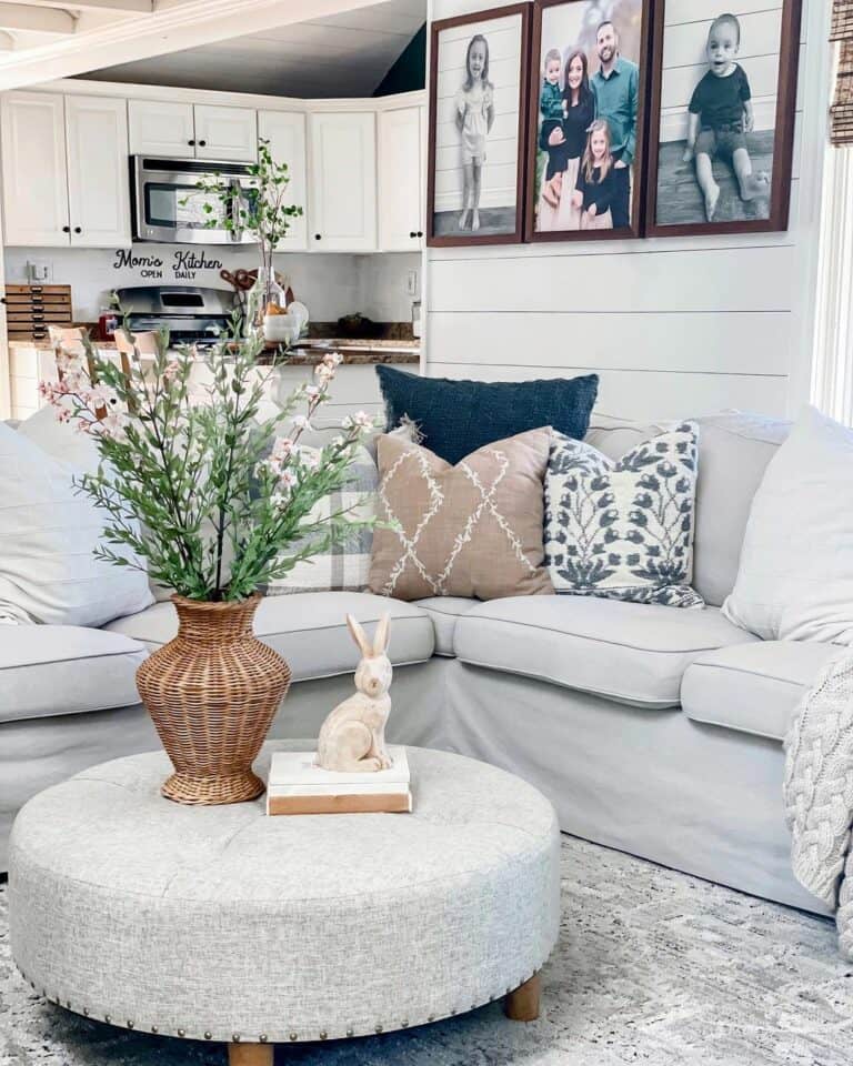 Gray Furniture in Shiplap Living Room