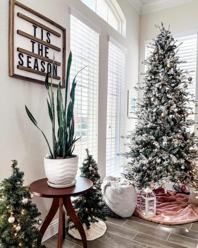 Interior Plant Styling with Christmas Trees