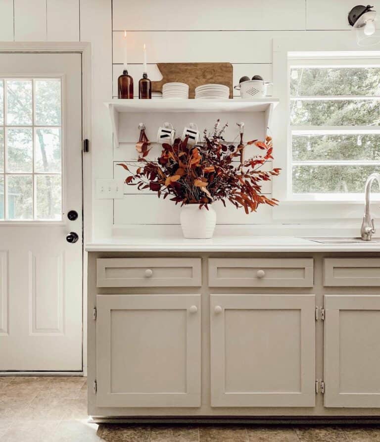 Kitchen Door on a Shiplap Wall