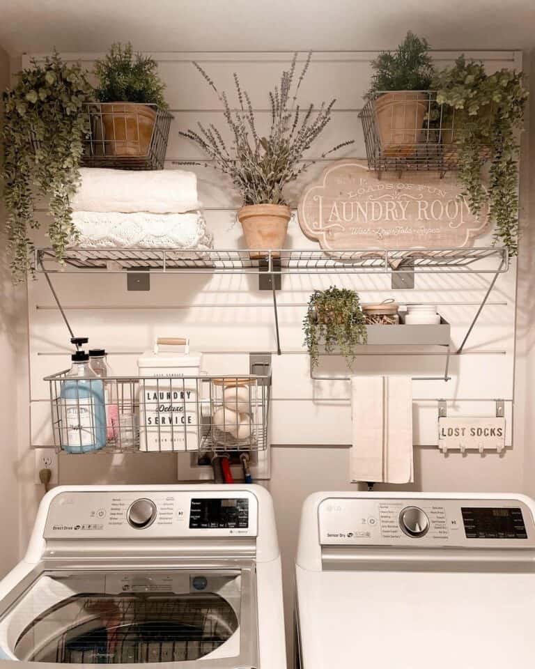 Laundry Room Wall Décor and Plants in Terracotta Pots Soul & Lane