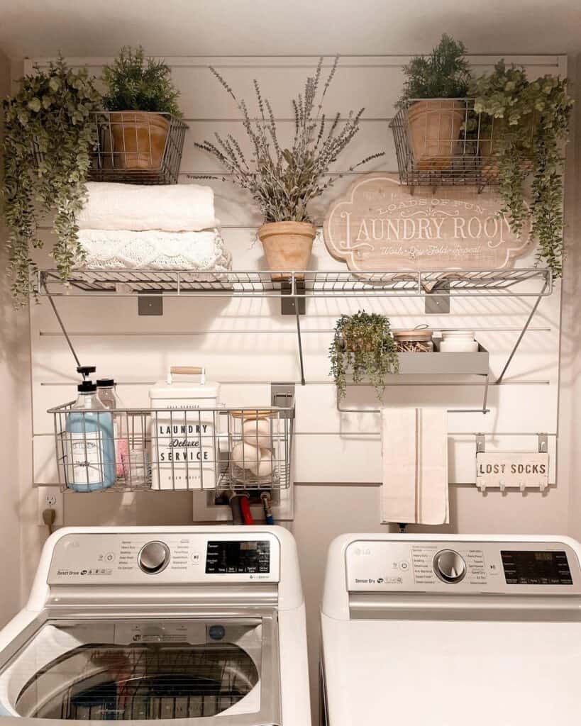 Laundry Room Wall Décor and Plants in Terracotta Pots