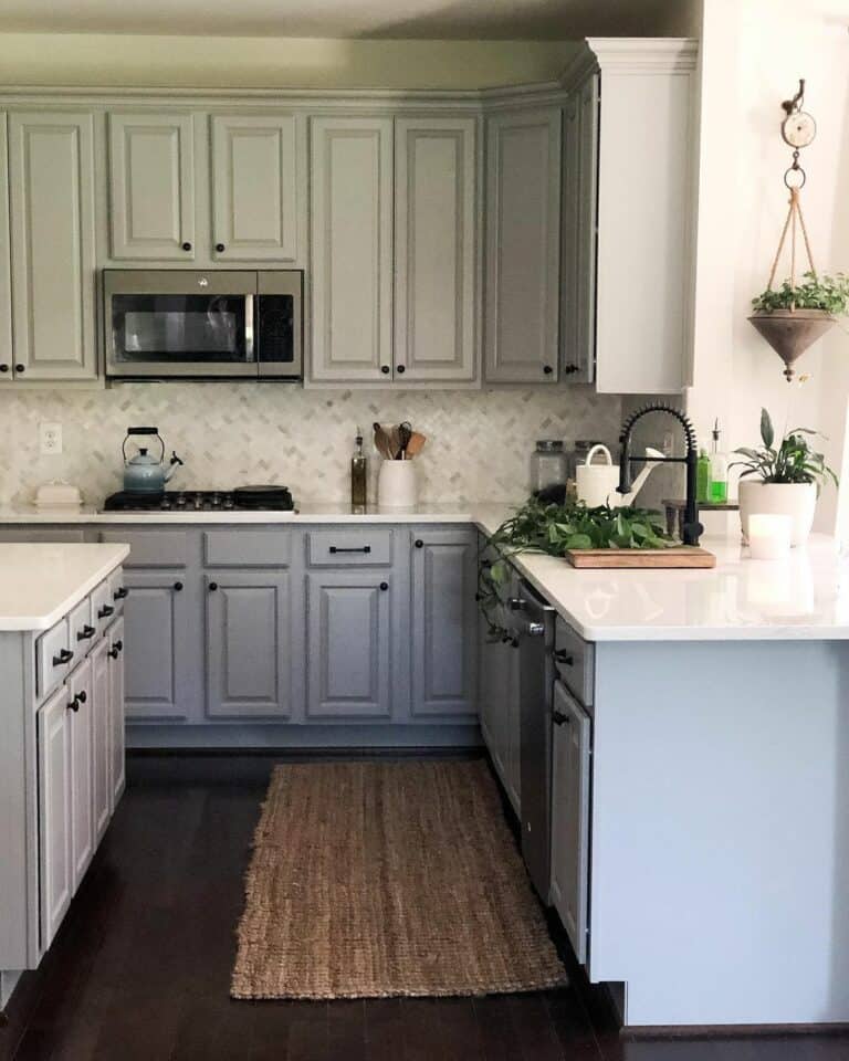 Light Grey Raised Panel Cabinets with Black Knobs