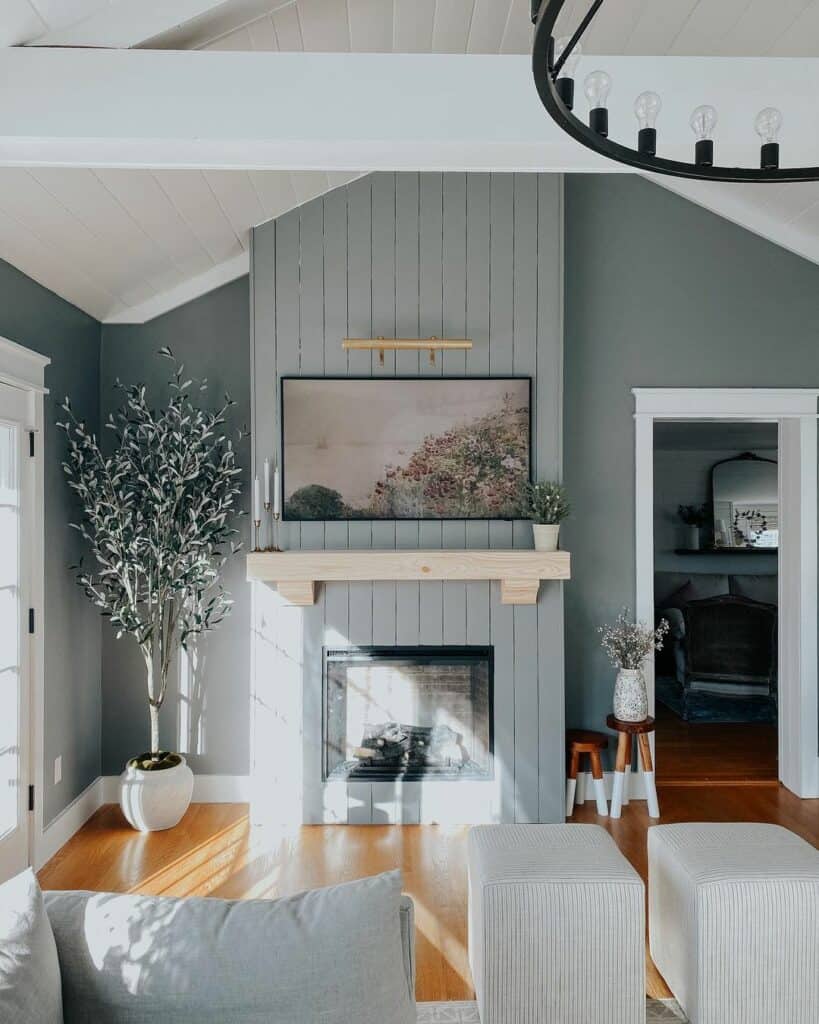 Modern Gray and White Living Room