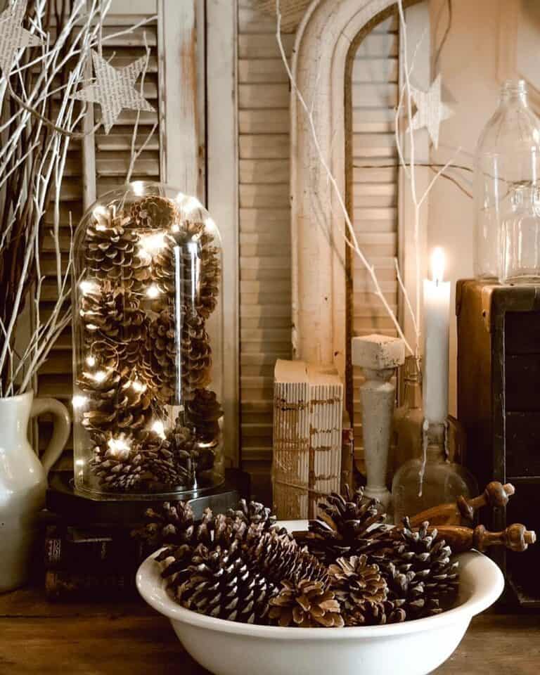 Multiple Ways of Displaying Pine Cones