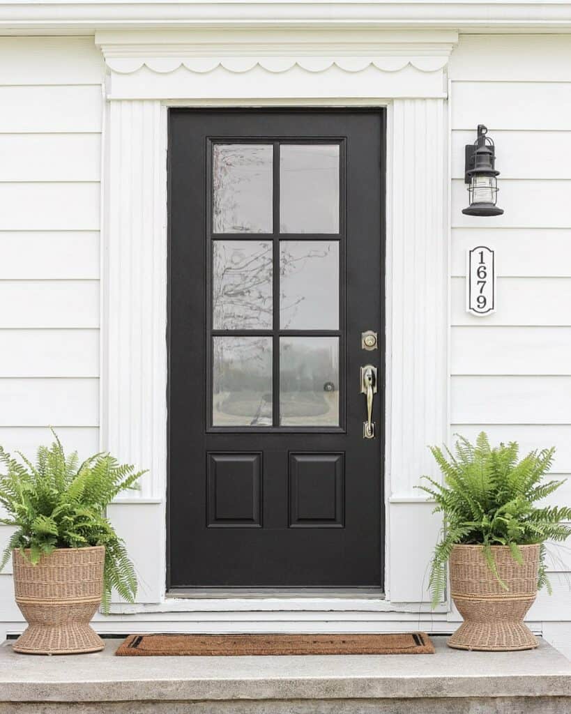 Textured Door Trim Ideas with Potted Ferns