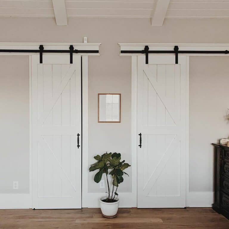 Thick And Thin White Barn Door Trim Soul Lane thick-and-thin-white-barn-door-trim-soul-lane
