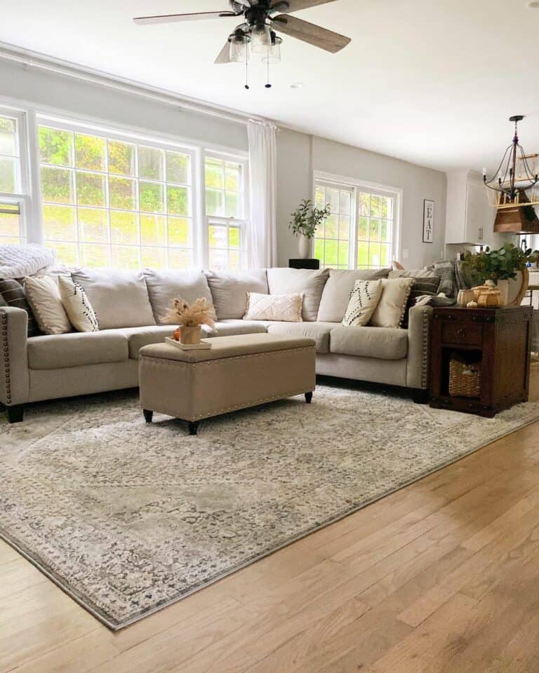 Beige Living Room Ideas