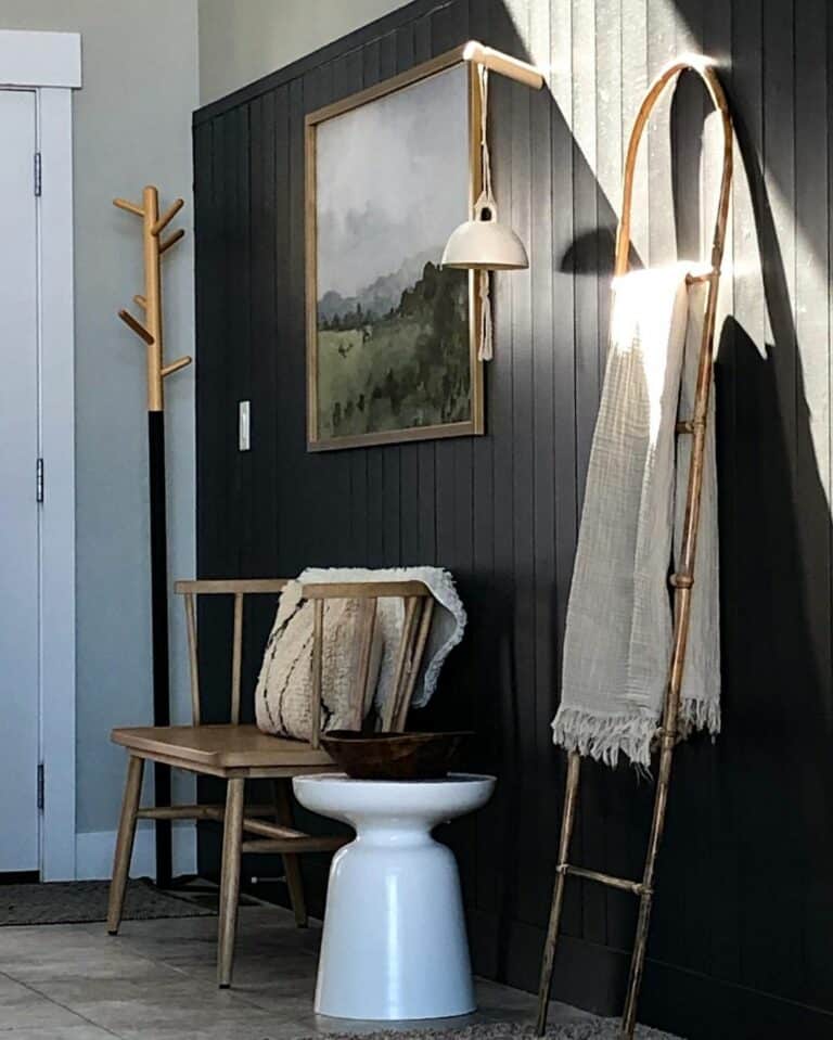 Black Accent Wall with Bronze Blanket Ladder