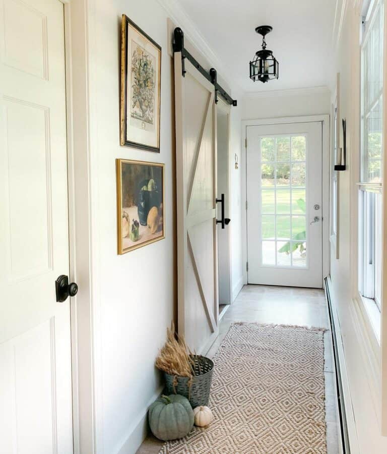 Black Lantern Pendant Light and a Barn Door