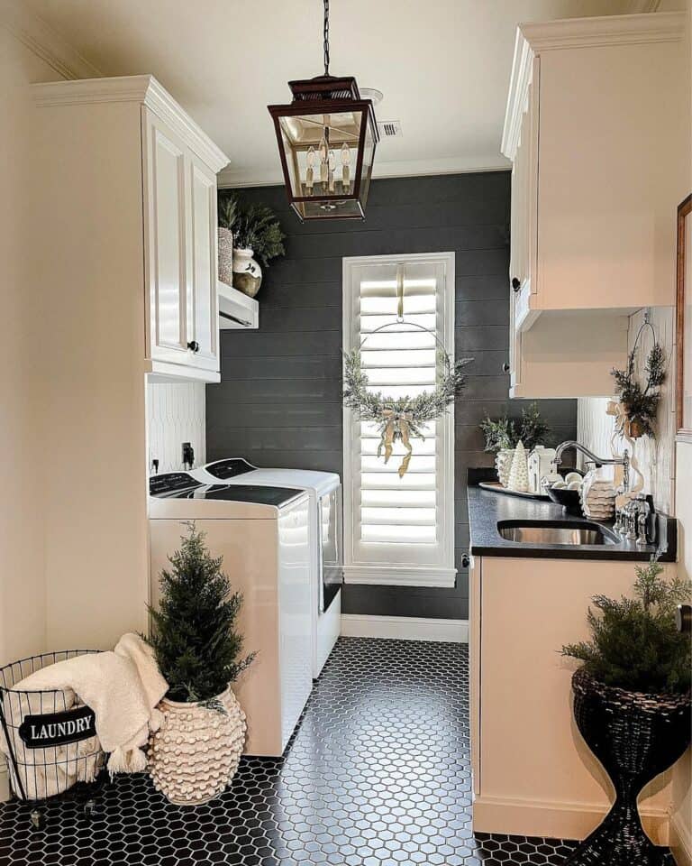 Black Shiplap Paneling in Modern Laundry Room