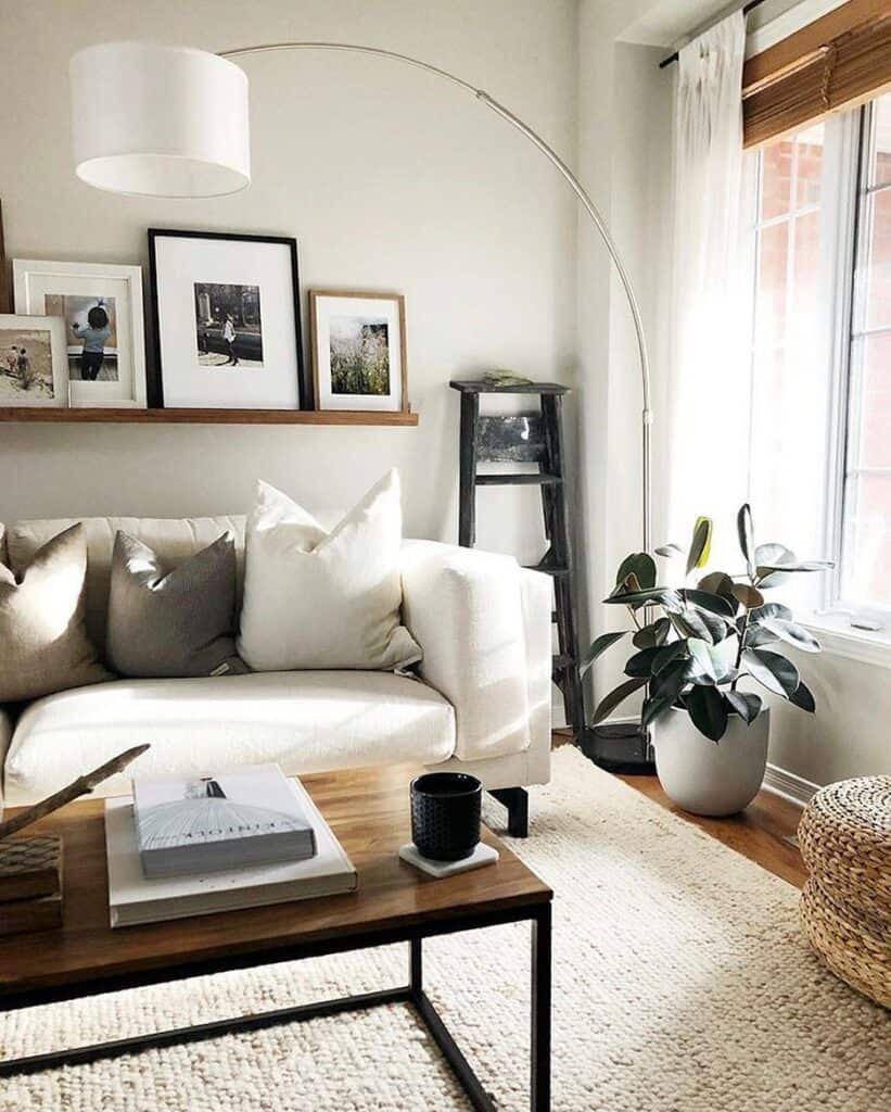 Brown Living Room Corner Décor Ideas