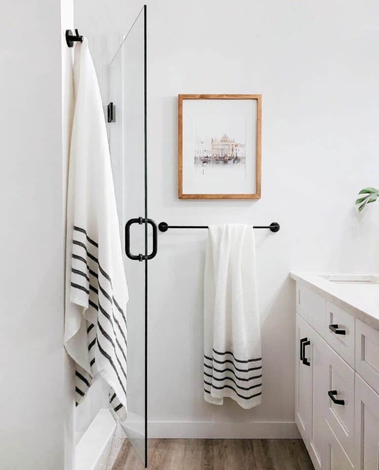 Black and White Bathroom Shower